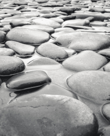 The Intellectual Property Rights of SimpleMDG Have Been Secured