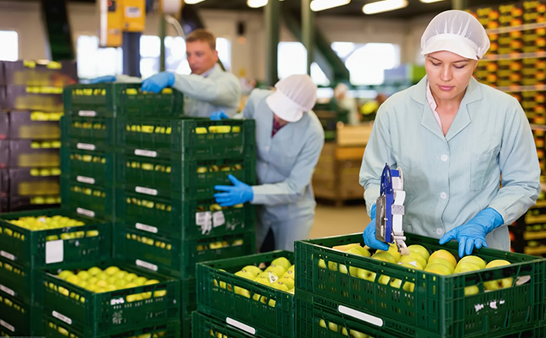 global packaged foods leader streamlined fresh produce operations